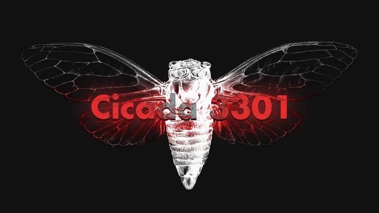 Cicada 3301 Mystery Explained 🕵️‍♂️