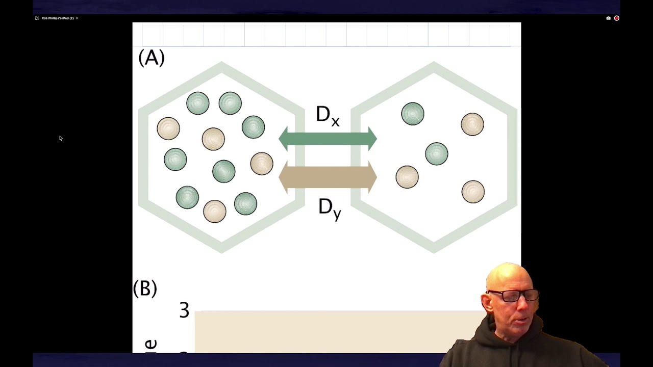 Understanding Turing’s Two-Cell System: A Step-by-Step Guide 🧠