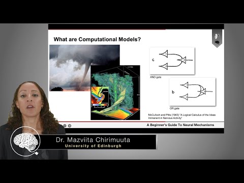 Computational Models in Neuroscience | Dr. Mazviita Chirimuuta (Part 3 of 4)