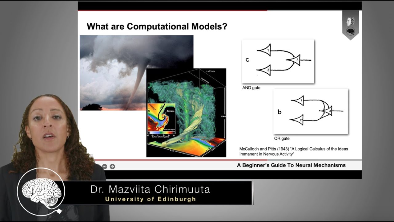Understanding Computational Models in Neuroscience with Dr. Mazviita Chirimuuta (Part 3/4) 🧠