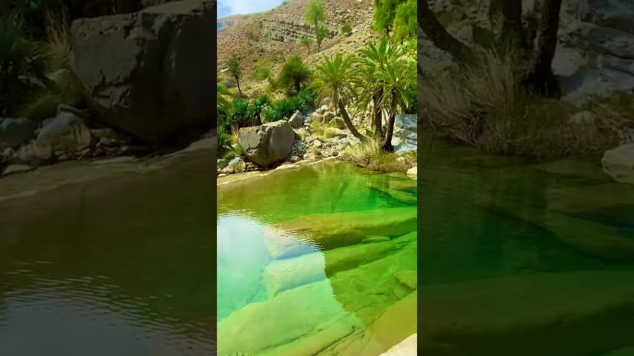 Noorani Noor 😱 Don't Miss the End! #Shorts