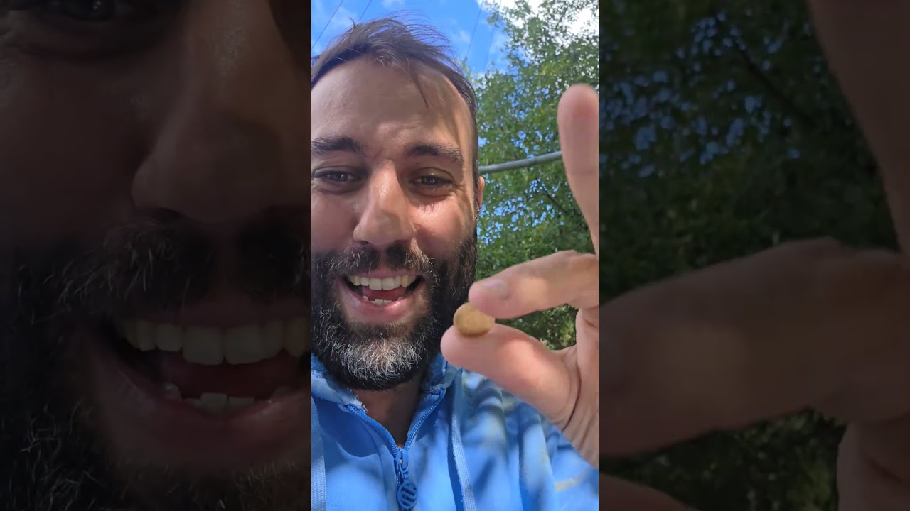 Pauvreté et or : la valeur de l'euro en baisse 💰