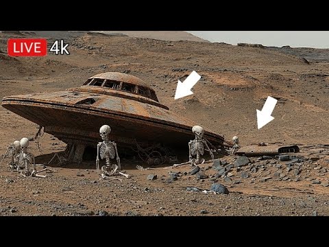 Perseverance Rover: 360° 4K Mars Footage 🌌
