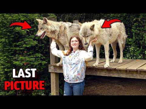 1 Hour of Most DISTURBING Deaths of Owners Killed by Their Pets...