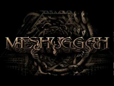 MESHUGGAH - Do Not Look Down (OFFICIAL LYRIC VIDEO)