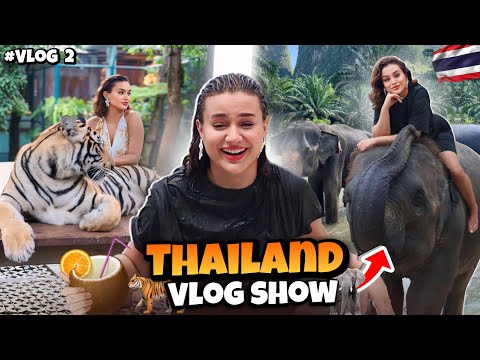 Thailand 🇹🇭 vlog 2 : دوزو معايا النهار مع الفيلة و النمورة 🐘🐅