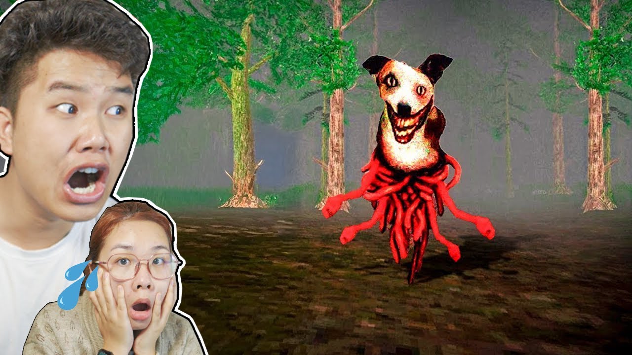 Chó của bạn trở về sau khi lạc và khiến bạn sốc với ngoại hình kỳ quái! 🐶