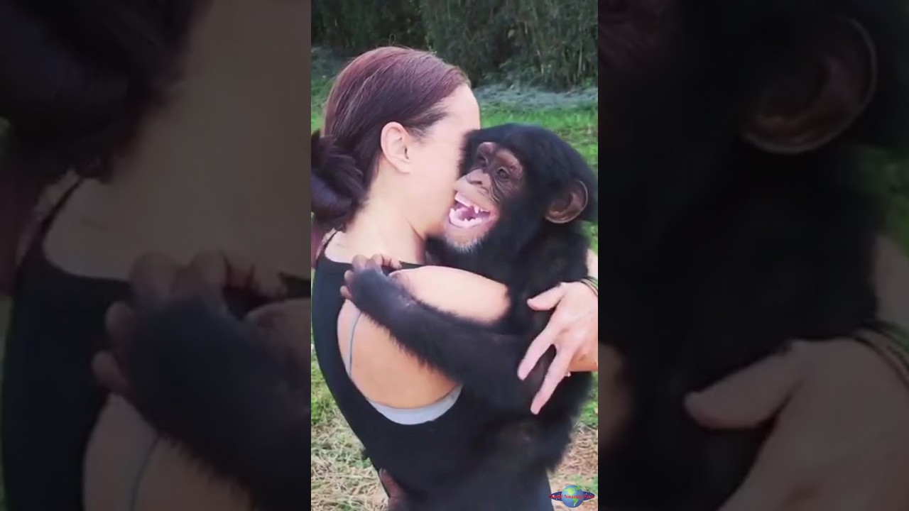 Animals Hug Humans: Heartwarming Moments 🥰