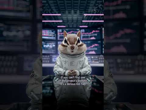 📄 What is a White Paper — and why should you actually read it?