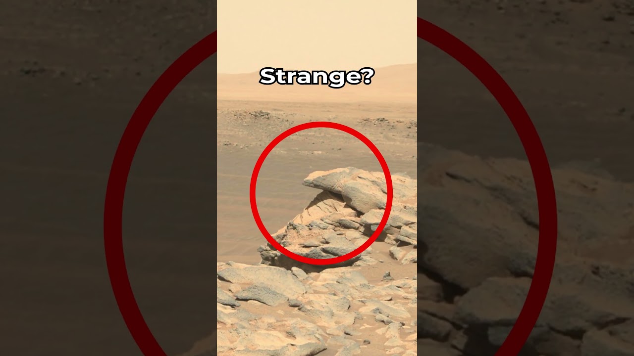 Mars Rover Perseverance SOL 181 Snapshot πΈ