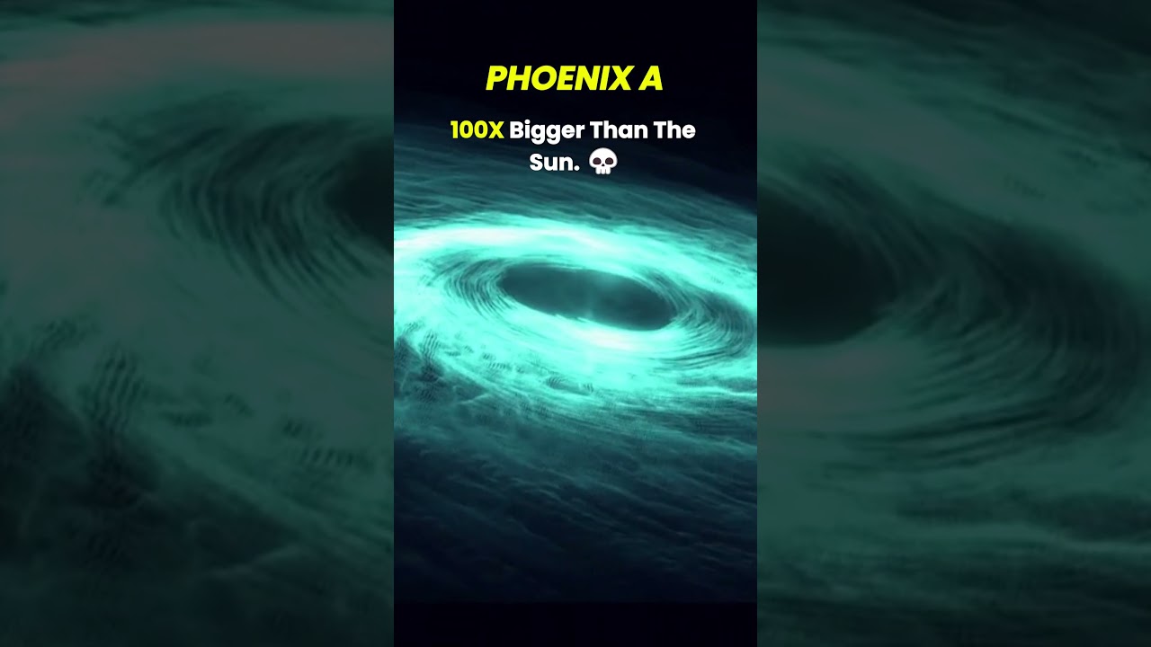PHOENIX A vs TON 618: The Largest Black Hole? 🌌