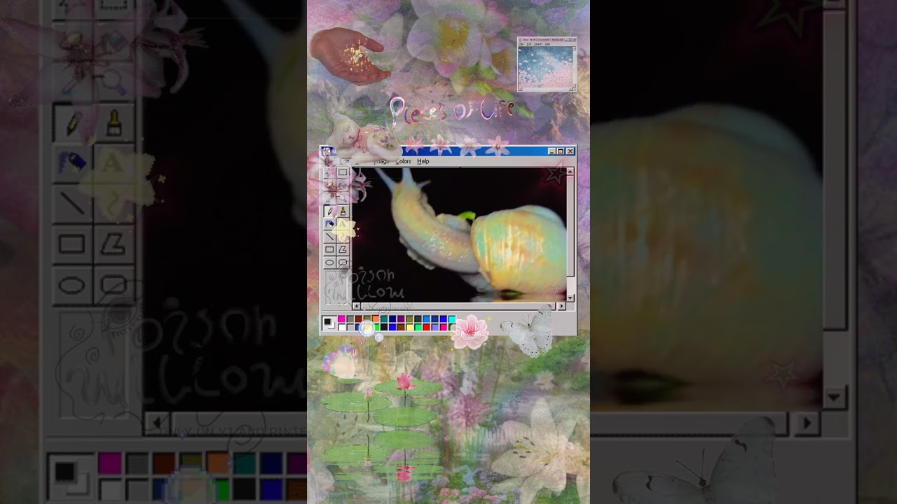 Exploring Artistic Expression Through Video π₯