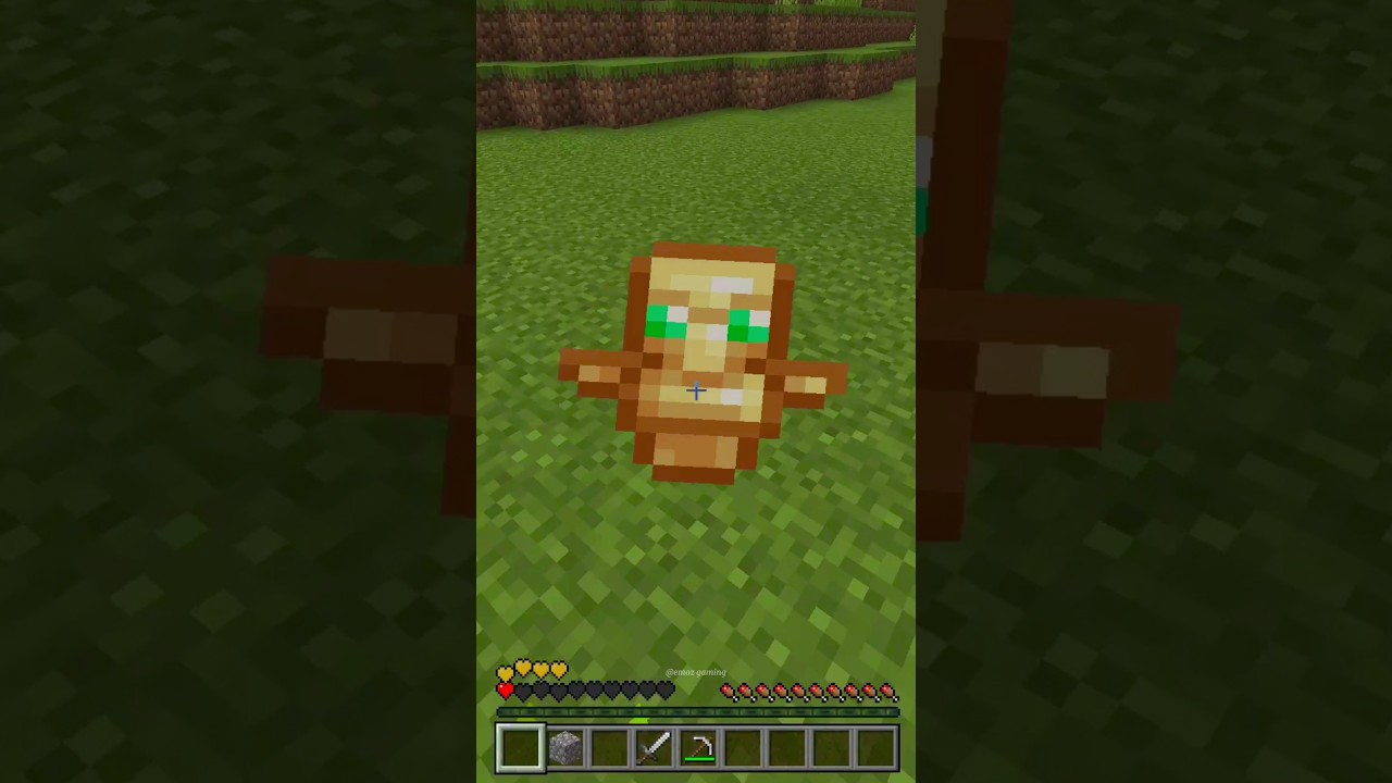 Always Help Dogs in Need in Minecraft 🐶