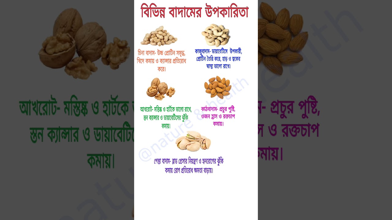 বিভিন্ন বাদামের উপকারিতা ও স্বাস্থ্যের জন্য উপকারী 🥜