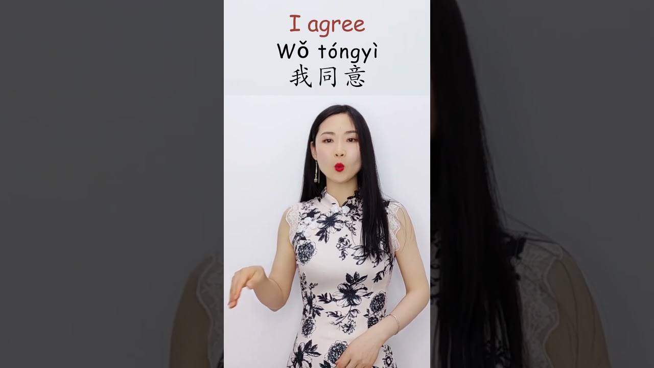 Basic Chinese Phrases: I Can, I Will, I See, I Agree