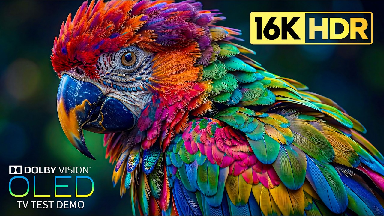 BEAUTIFUL OLED TEST DEMO | 16K HDR 120 fps Dolby Vision (8K/4K Video TV)