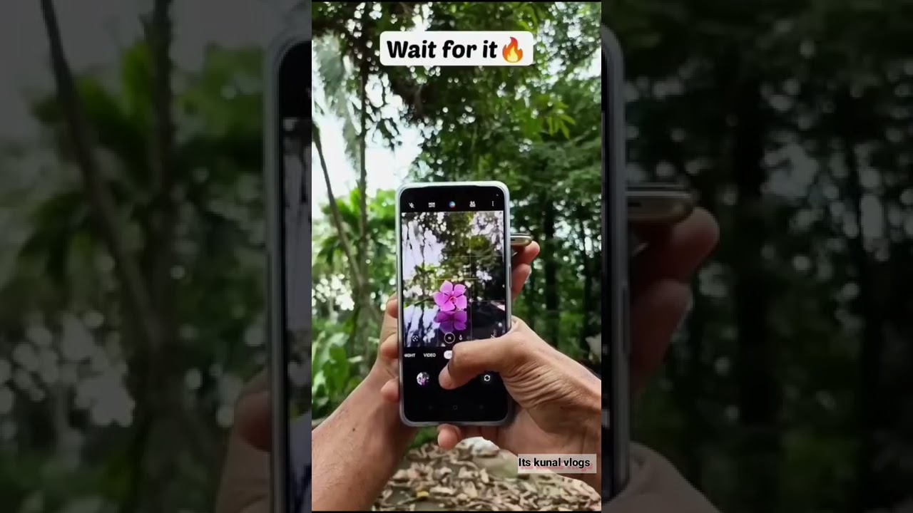Mobile Photography Tips & Nature Ideas 📸