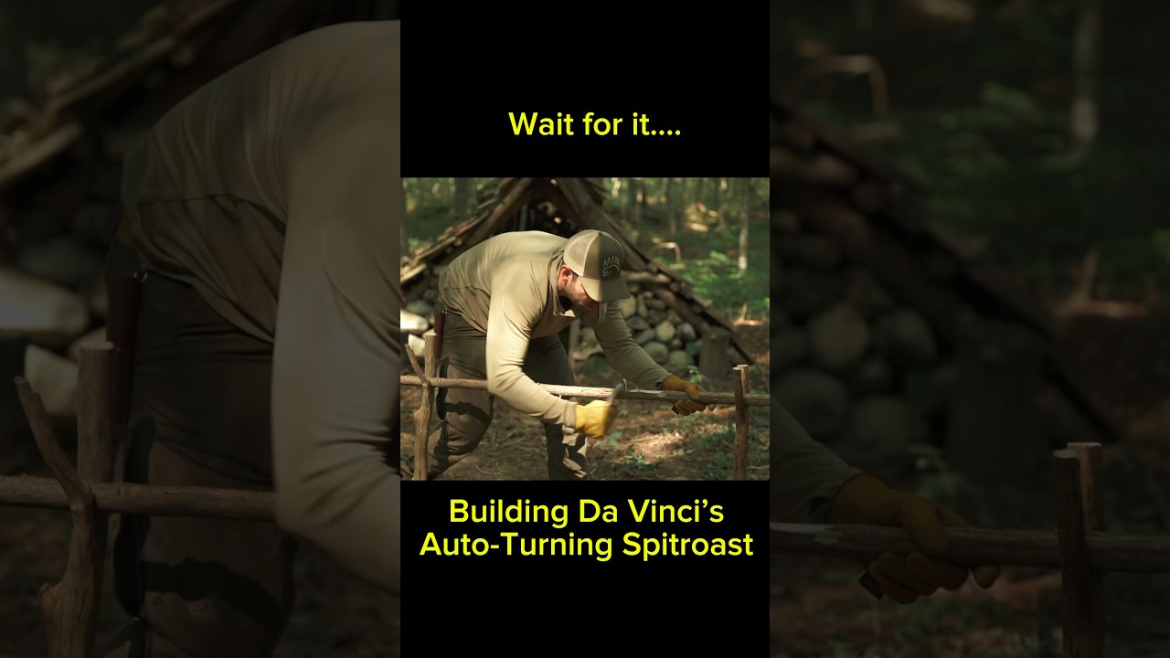 DaVinci's Auto Rotating Spit π§