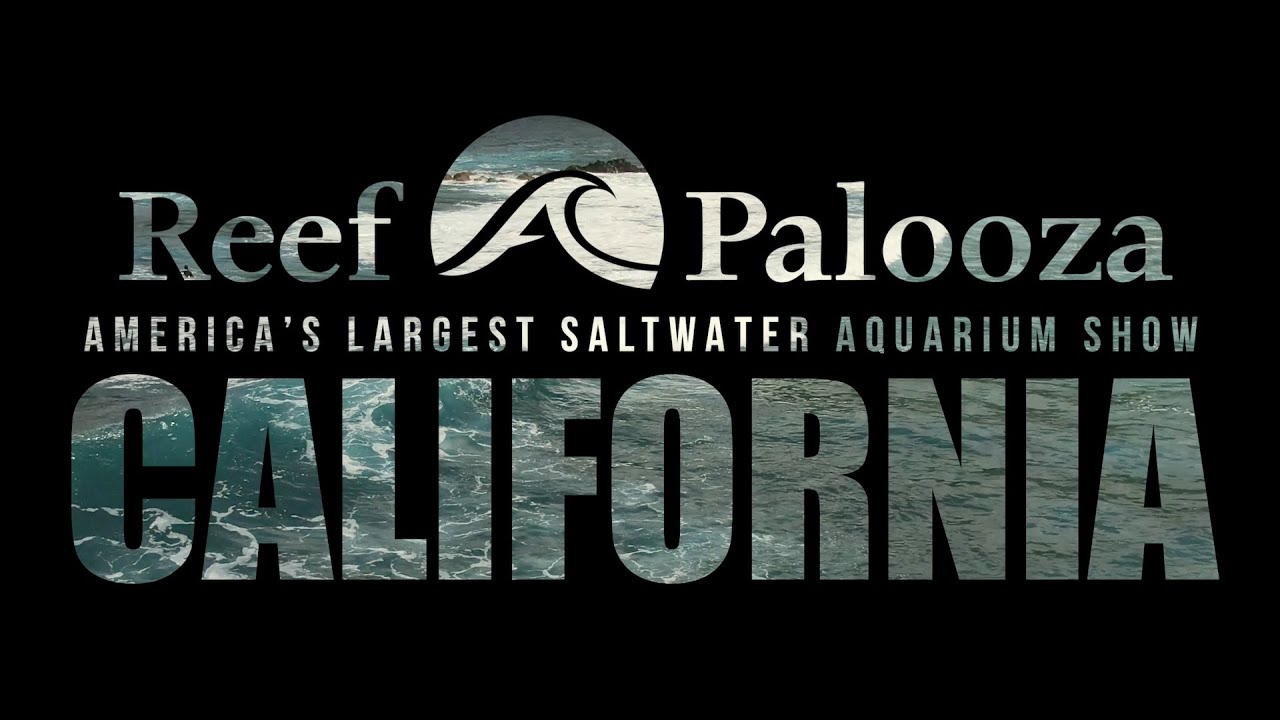 Reef-A-Palooza California 2022 Teaser 🌊