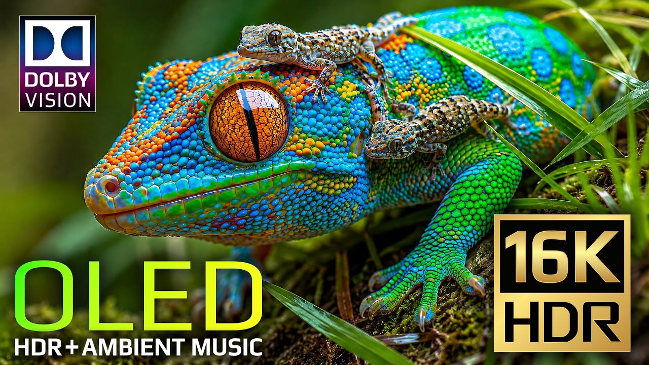 Real Dolby Vision HDR | Exploring Earth's Magnificent Beauty in 16K Video ULTRA HD (8K/4K Video TV)