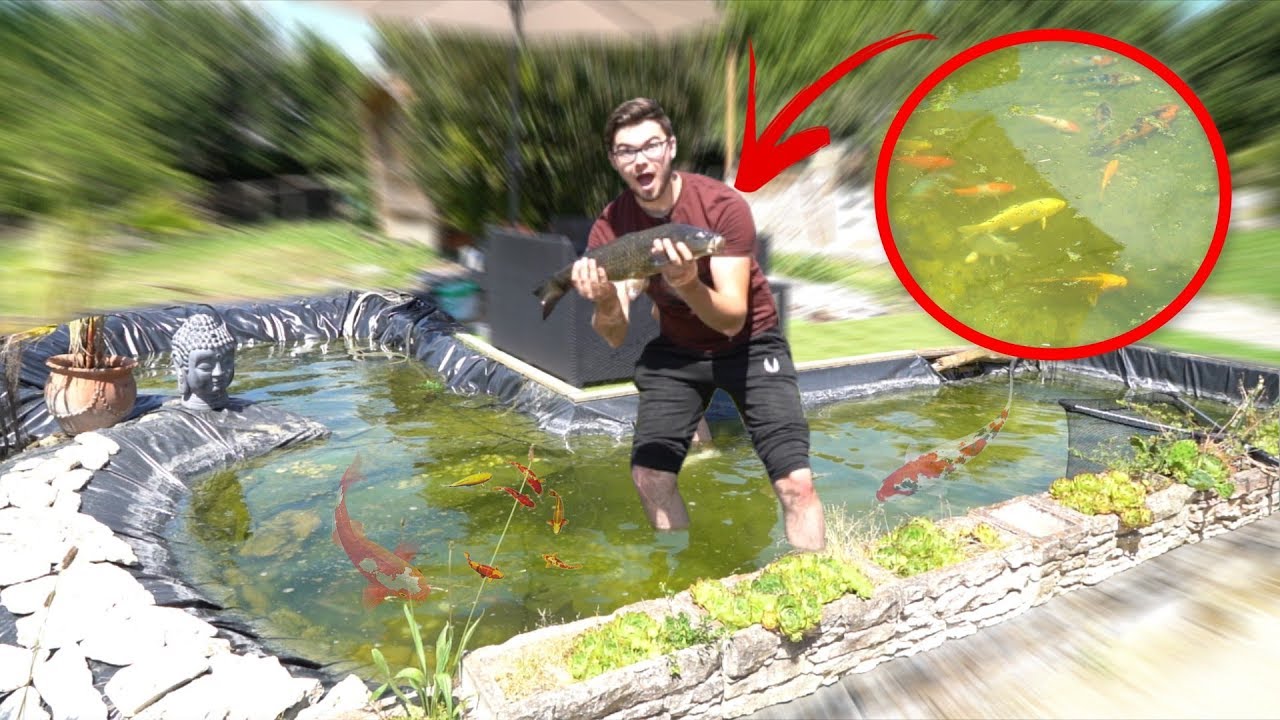 Construction d'un bassin à poissons 🐟 #2