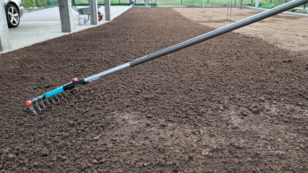 10 Expert Tips for Growing a Lush New Lawn from Scratch 🌱