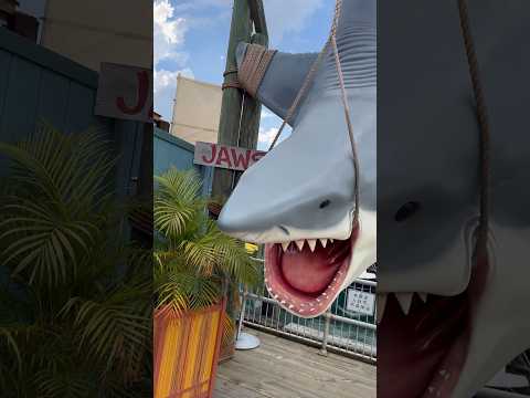 JAWS 1975 at Universal Studios  #universal #jaws #themepark #movie #film #thriller #cinema #icon