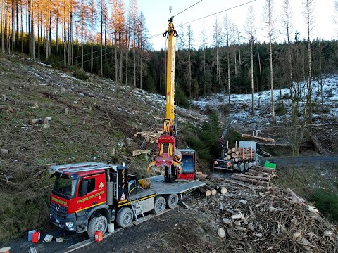 🌲*Mounty 5000* • Gebirgsharvester Konrad-Forsttechnik • Seilbahn • Forstbetrieb Senfter🌲