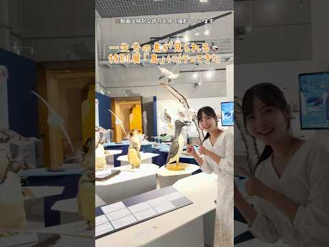 特別展「鳥」 📍国立科学博物館(上野公園) #博物館