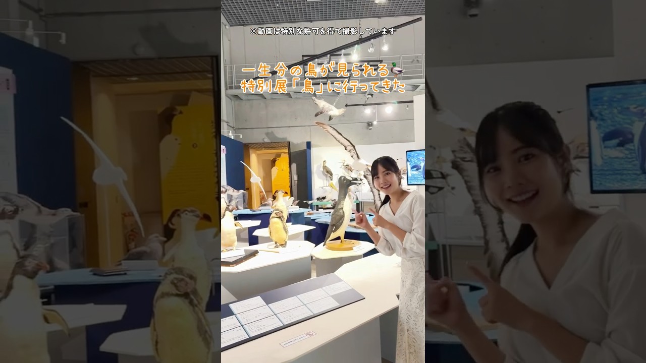 国立科学博物館で鳥類の神秘に迫る特別展🦜 600点以上の標本と最新解析を一挙公開!