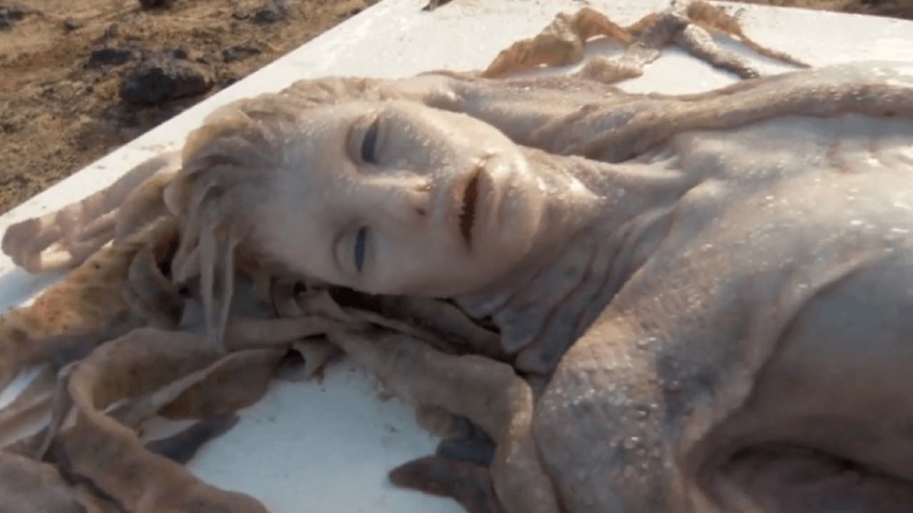 Global Mermaid Sightings π