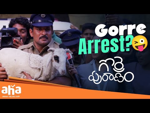 Gorre Puranam Telugu Movie Scenes | Gorre Arrest | Suhas | Latest Telugu Hit Movies | Aha