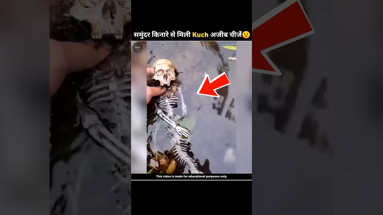 Beach Finds: Strange & Mysterious Items 😯