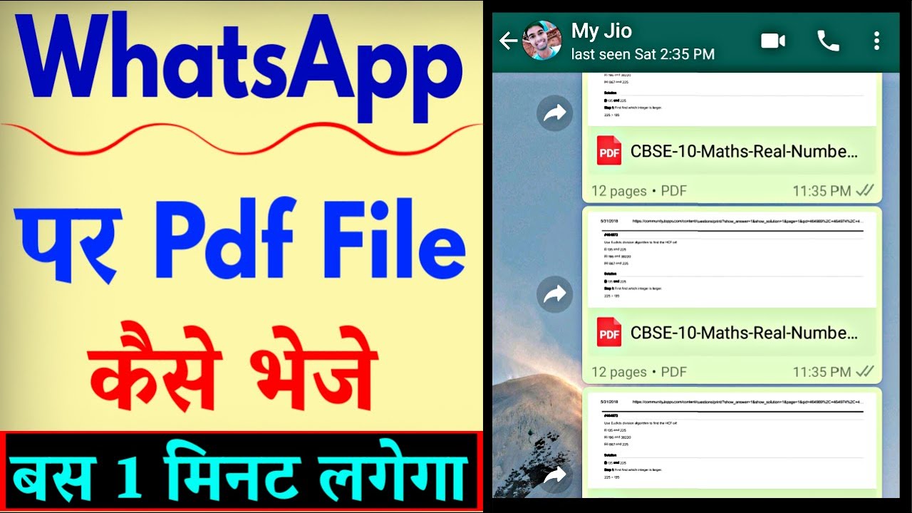 WhatsApp पर PDF कैसे भेजें? आसान तरीका जानिए 📱