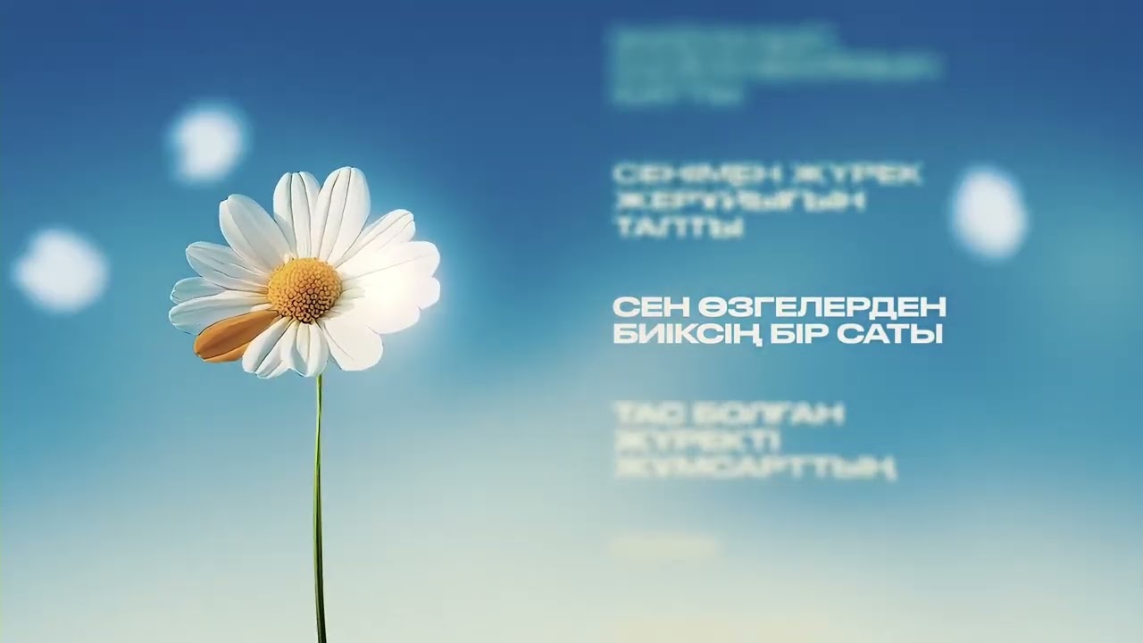 Караоке: 6ellucci - Boleksin 🎤