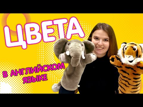 Учим цвета на английском языке для детей | ILS KIDS