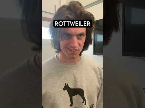 How Dog Breeds React To Robbers PT 7 (solo version)