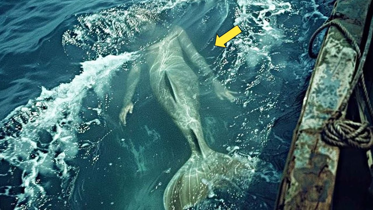 Unexplained Mermaid Sightings by Deep Sea Fishermen 🌊