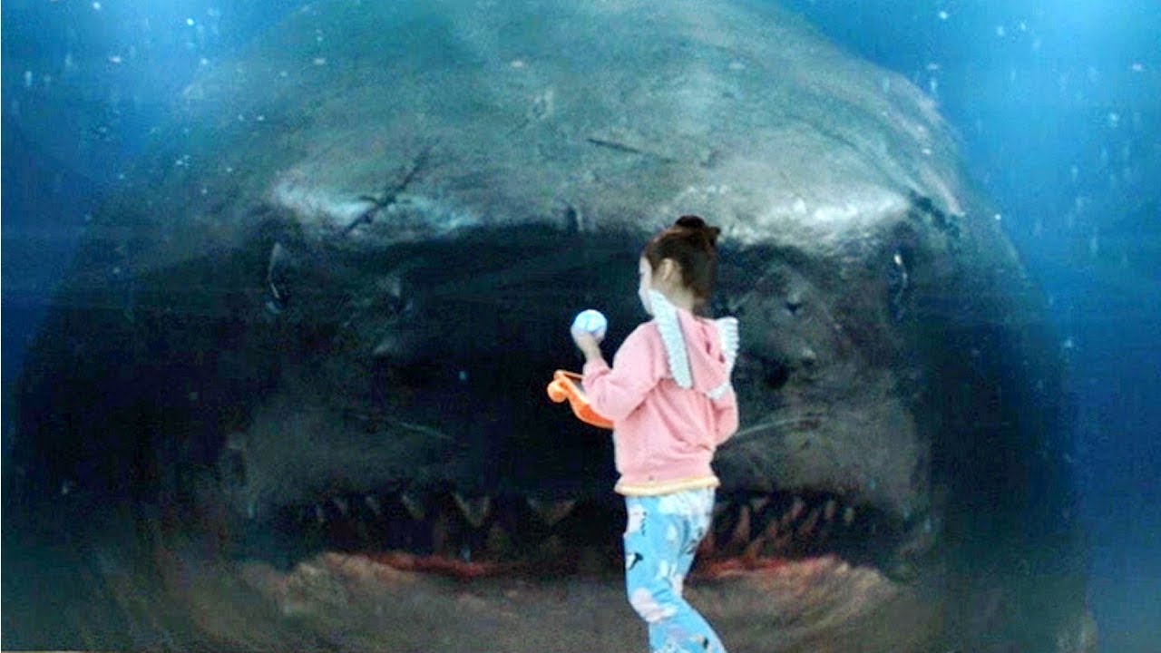 Megalodon vs. Glass: Intense Scene from The Meg (2018)