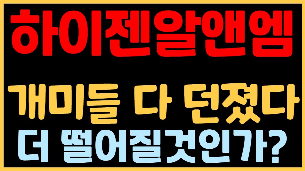 하이젠알앤엠, 향후 방향성 공개 🚀