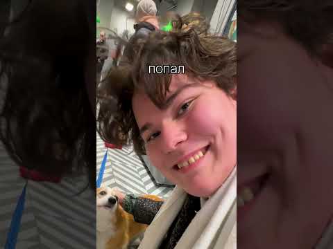 1 Звезда vs 5 Звезд Пятерочка