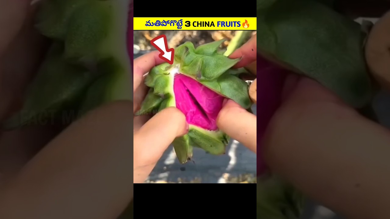 Top 3 Amazing Fruits from China 🍎