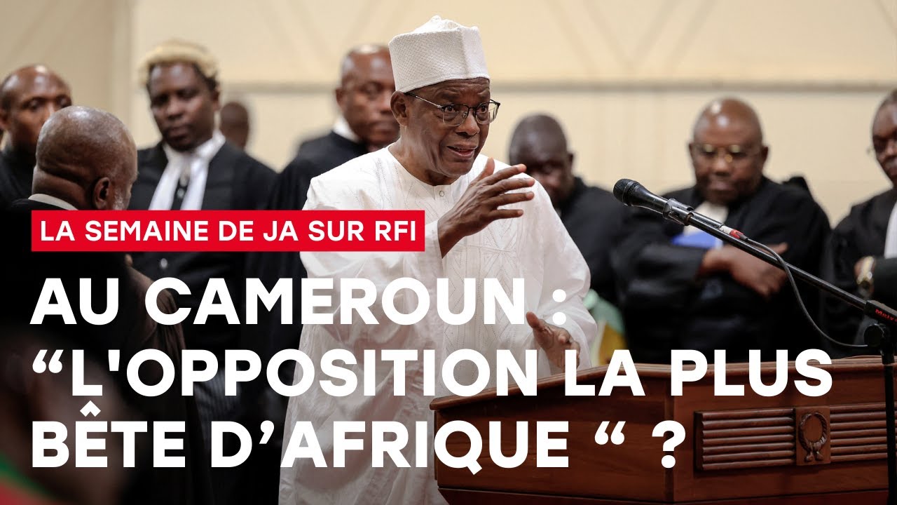 Cameroun : l'opposition « la plus bête d'Afrique » ?
