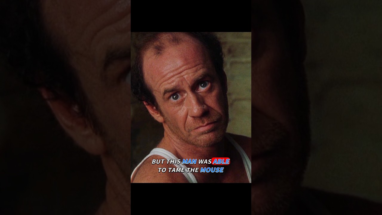 Unbelievable Miracle Caught on Screen! 😱 | #Shorts #Thriller