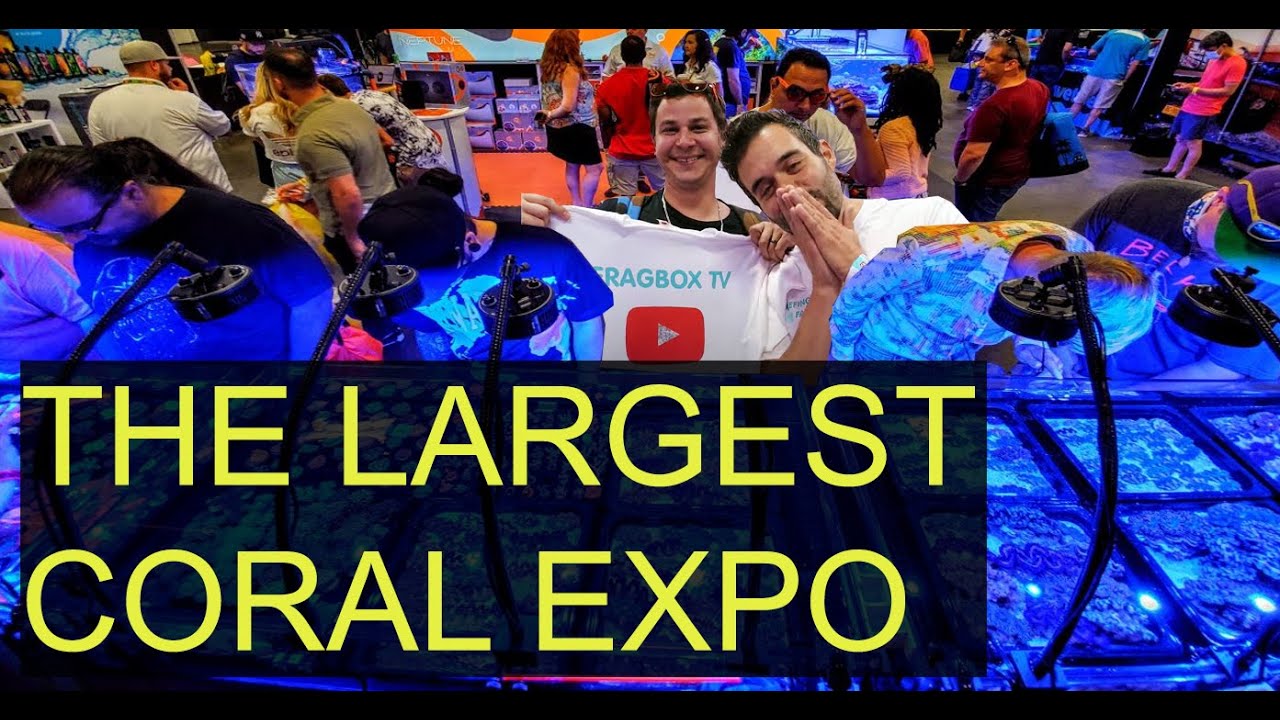 Fragbox at Reefapalooza NYC 2022 🌊