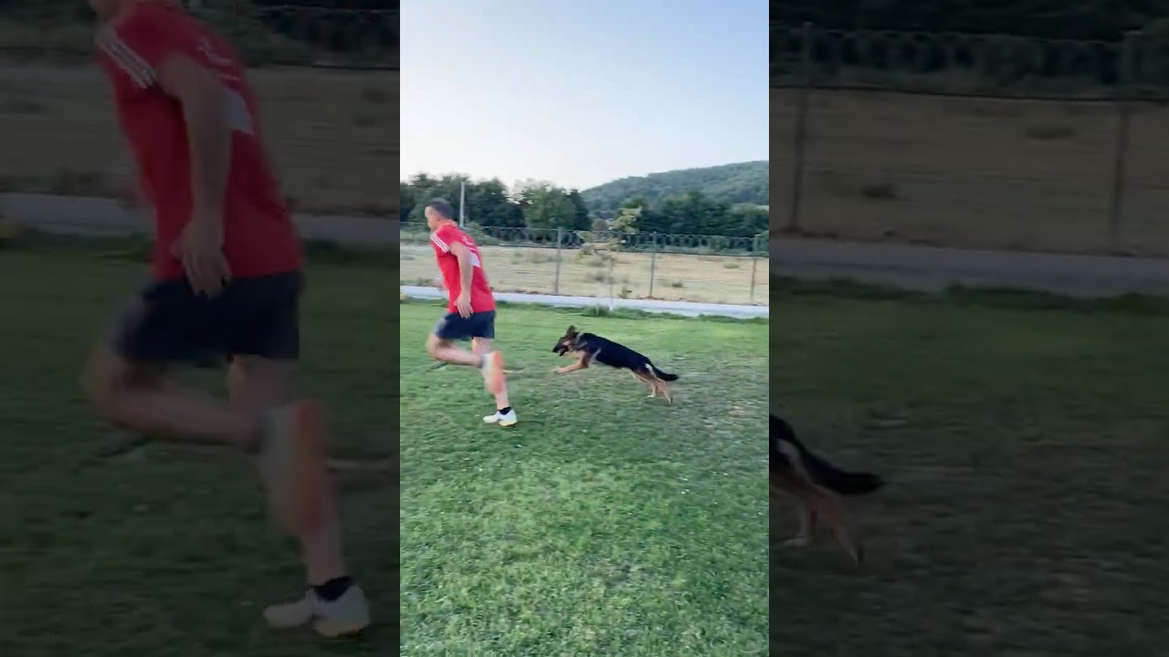 Short Run with #Heja Part 2 🐕