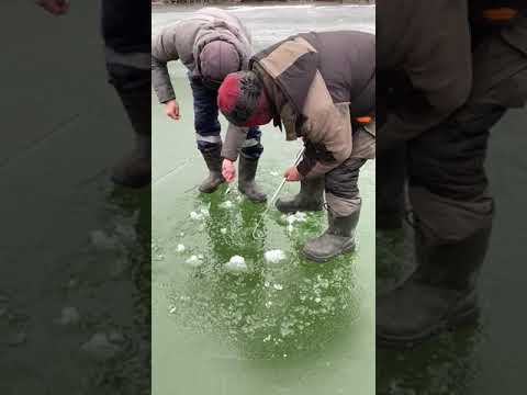 Зимняя рыбалка 2024-25 на реке Торгай 🎣