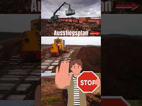 noch 11 Tage bis zur BTW25