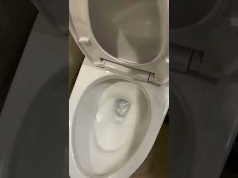 Why is this Japanese toilet impossible to clog? | Toto Eco UltraMax 1.28GPF