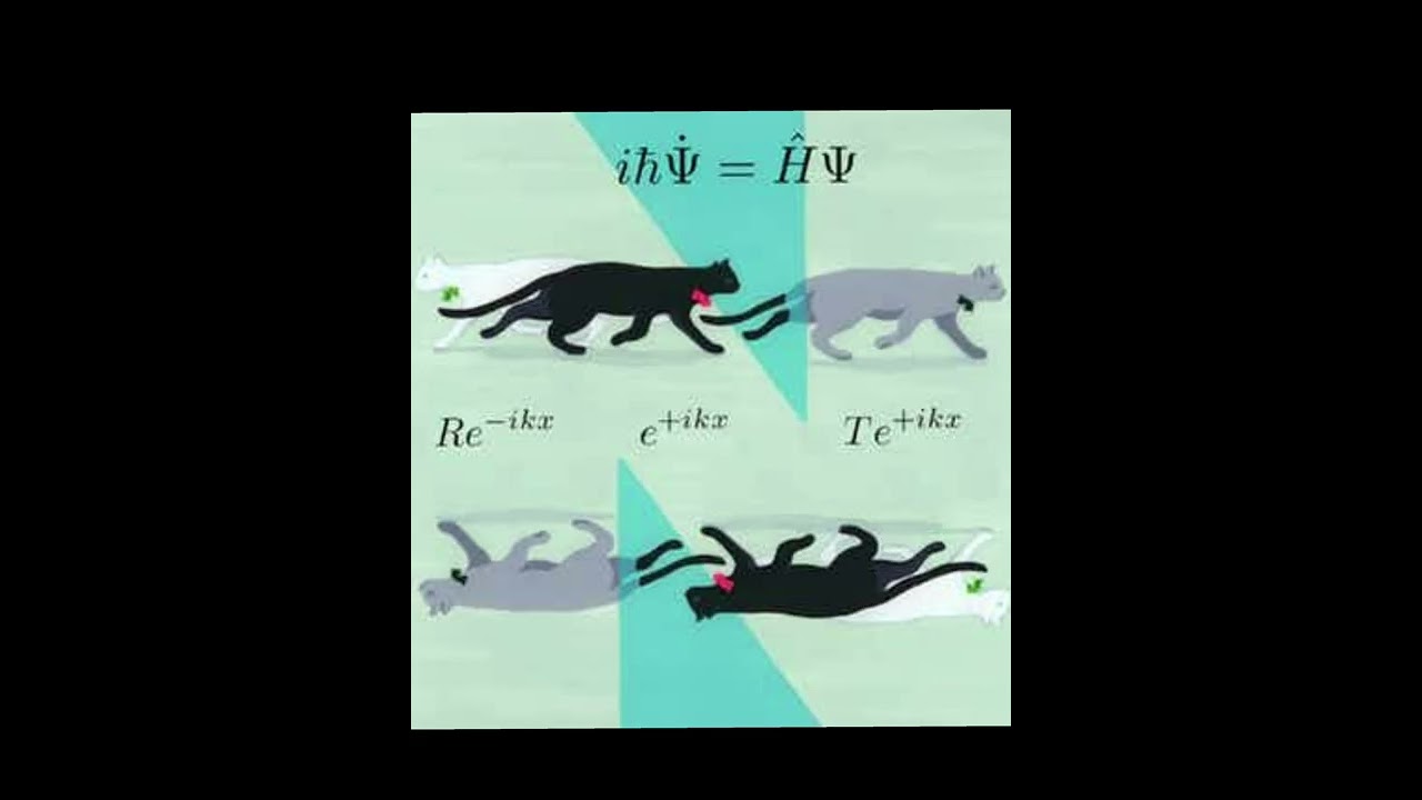 Schrödinger and the Little Dark Age 🌑